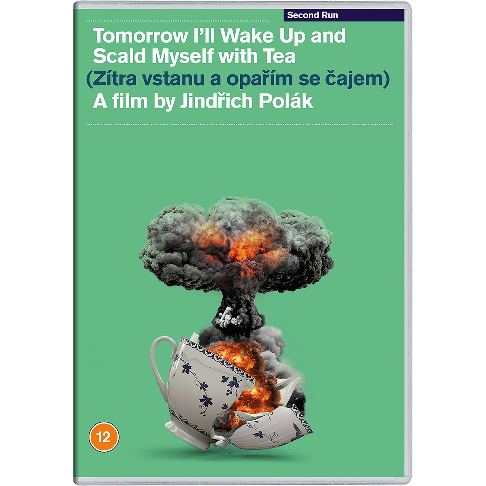 Tomorrow I'll Wake Up and Scald Myself with Tea DVD