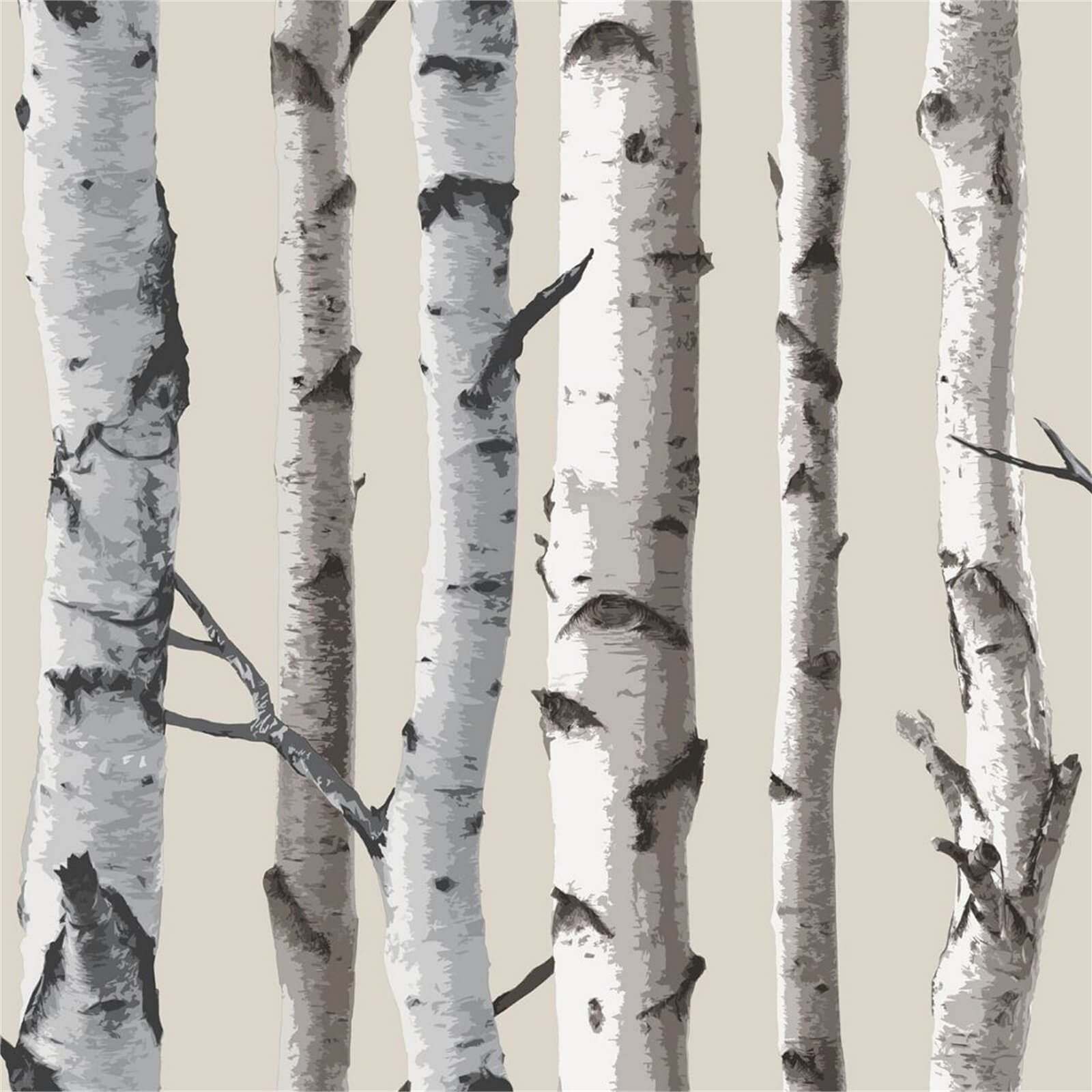 Fine Decor Birch Tree Natural Wallpaper Homebase Beranda » homebase wallpaper » national geographic wallpaper home depot. fine decor birch tree natural wallpaper