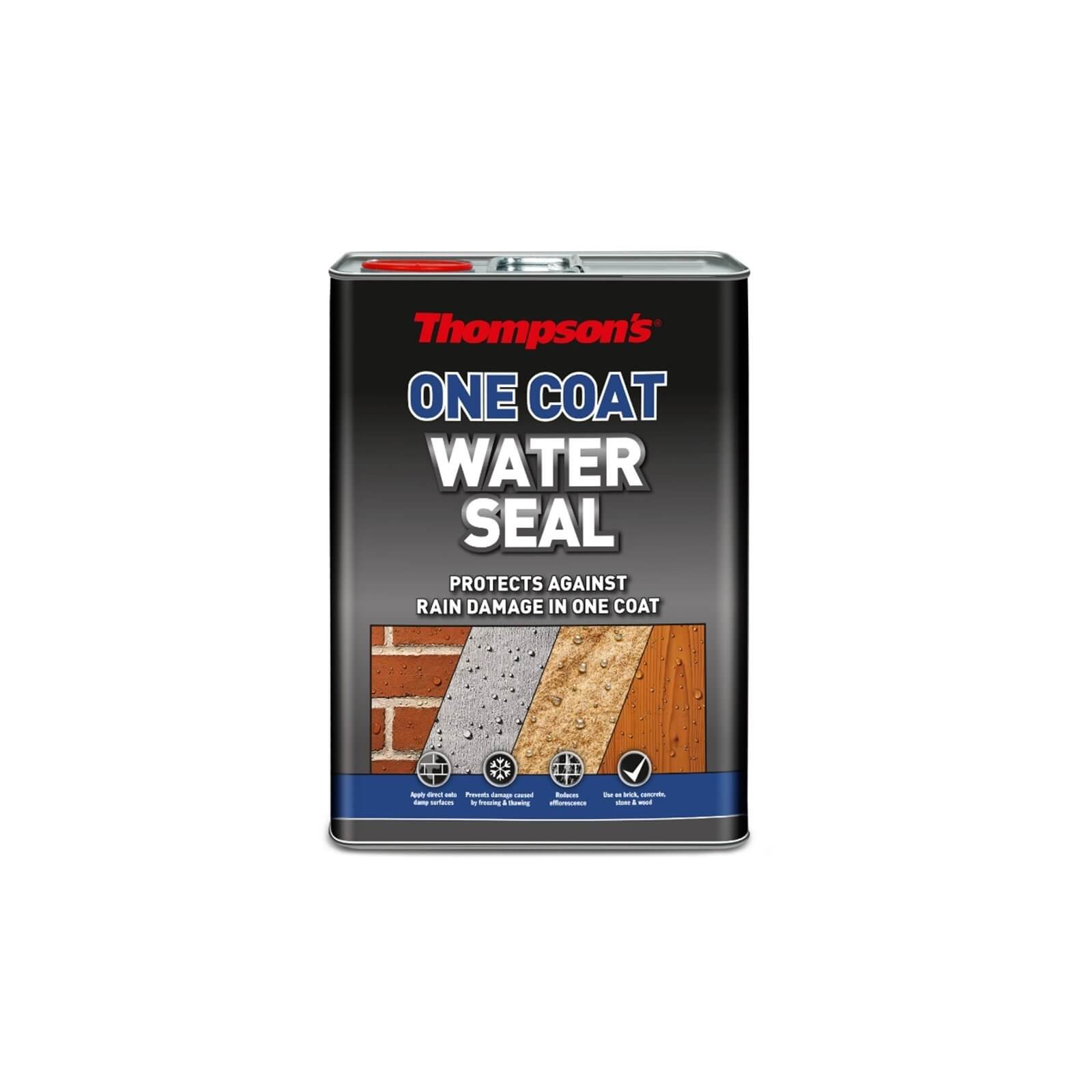 Thompsons Clear One Coat Water Seal Ultra 1L Homebase
