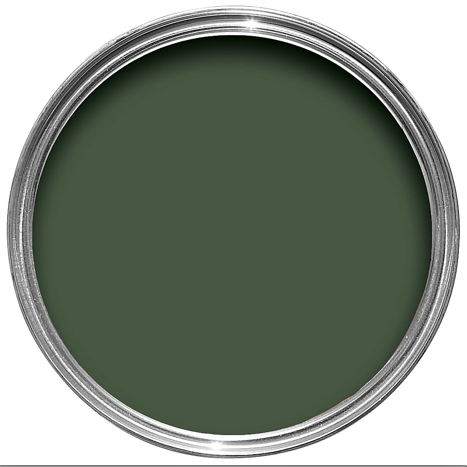 Farrow & Ball NHM Modern Emulsion Paint No. W55 Duck Green 5L Homebase