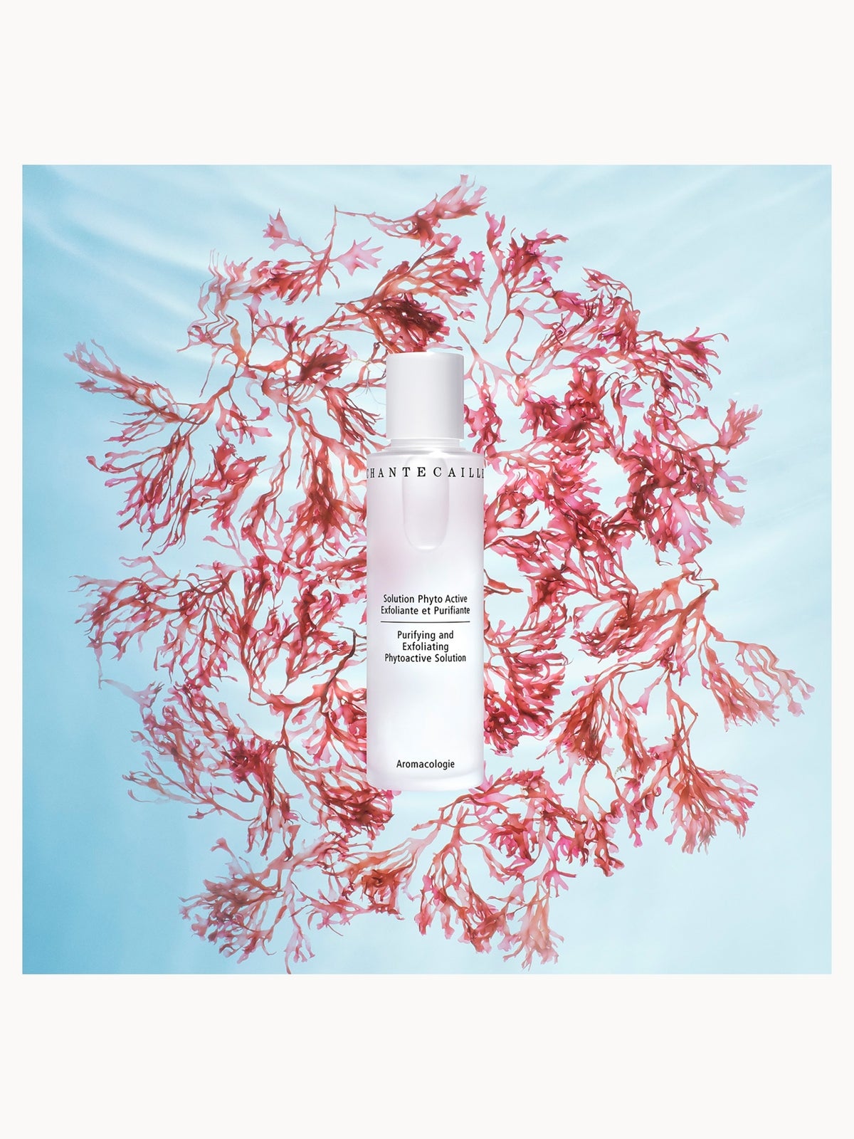Chantecaille Purifying and Exfoliating Phytoactive Solution 100ml 3