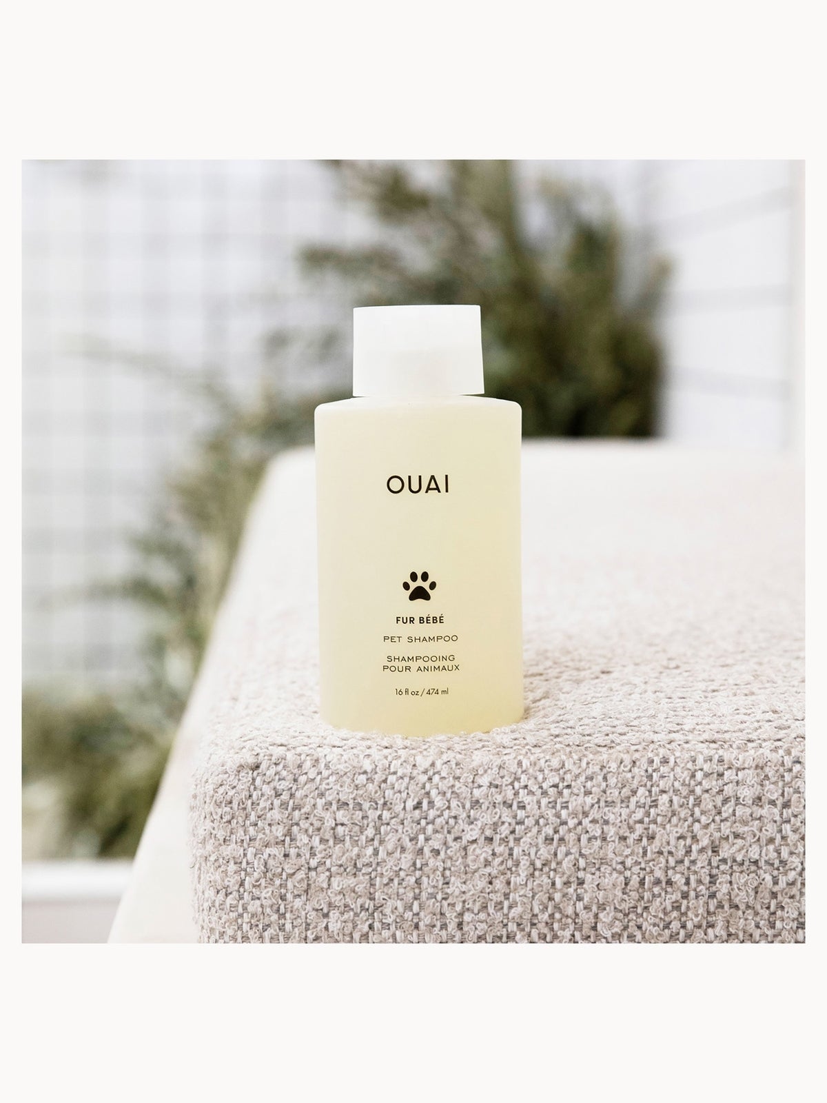 OUAI Fur Bébé Pet Shampoo 474ml 2