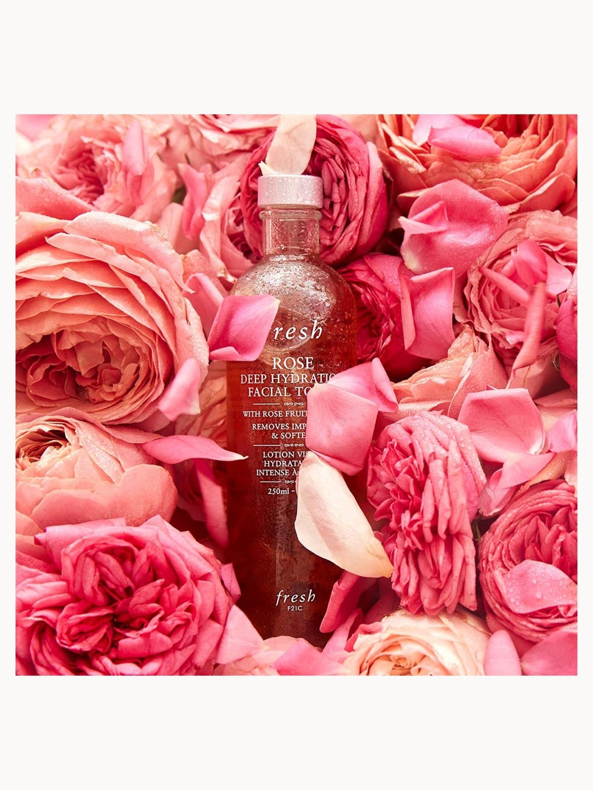 Fresh Rose Deep Hydration Toner (Various Sizes) - 100ml 4
