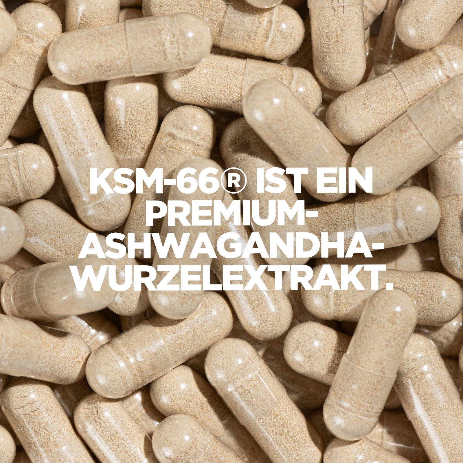 KSM-66® Ashwagandha Kapseln - 30Kapseln — Bild 4