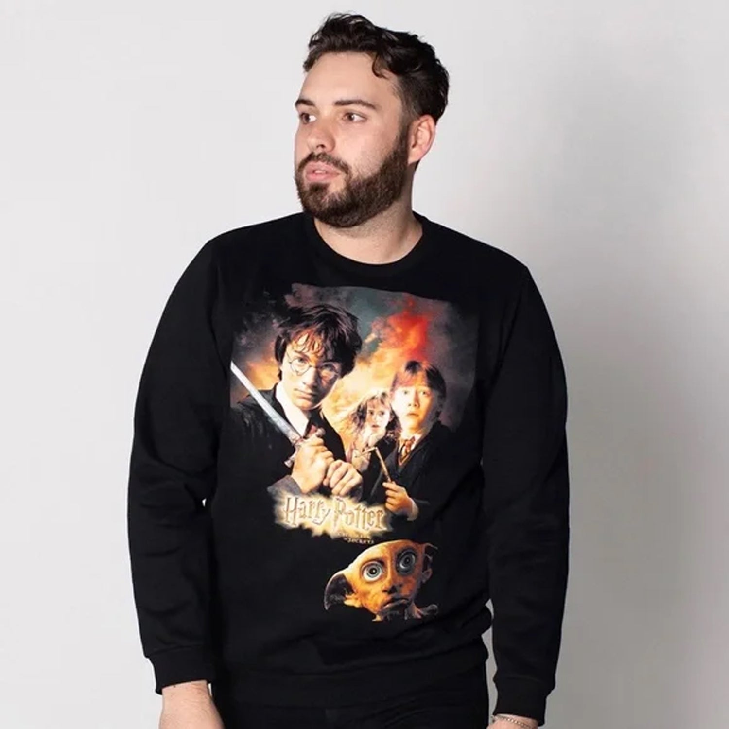 Cakeworthy Harry Potter Chamber of Secrets Crewneck - XXXXL