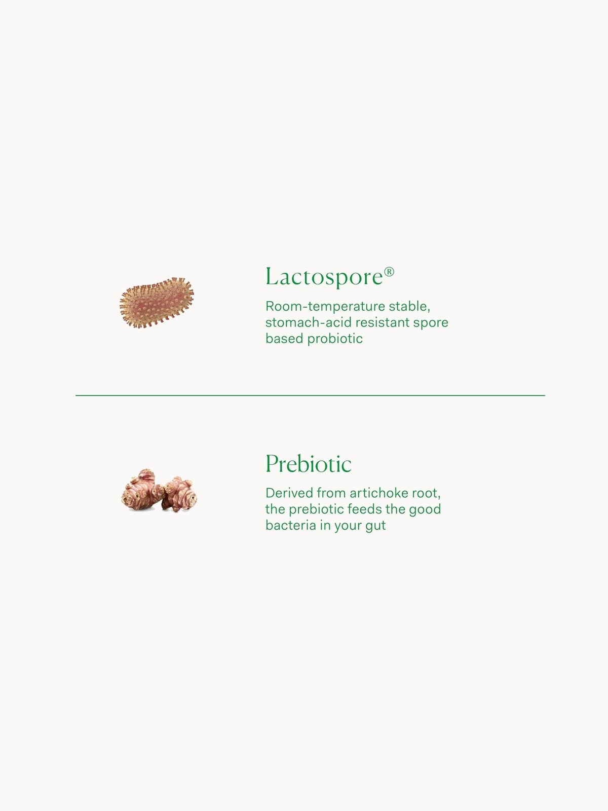 The Nue Co. Prebiotic + Probiotic (60 Capsules) 3