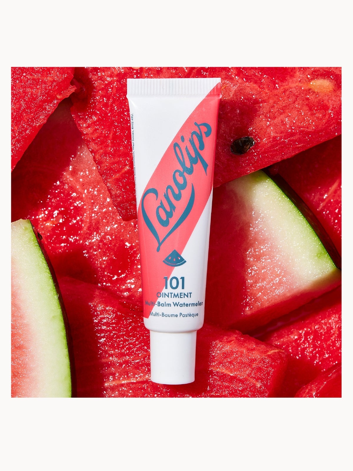Lanolips 101 Ointment Fruities Watermelon 2
