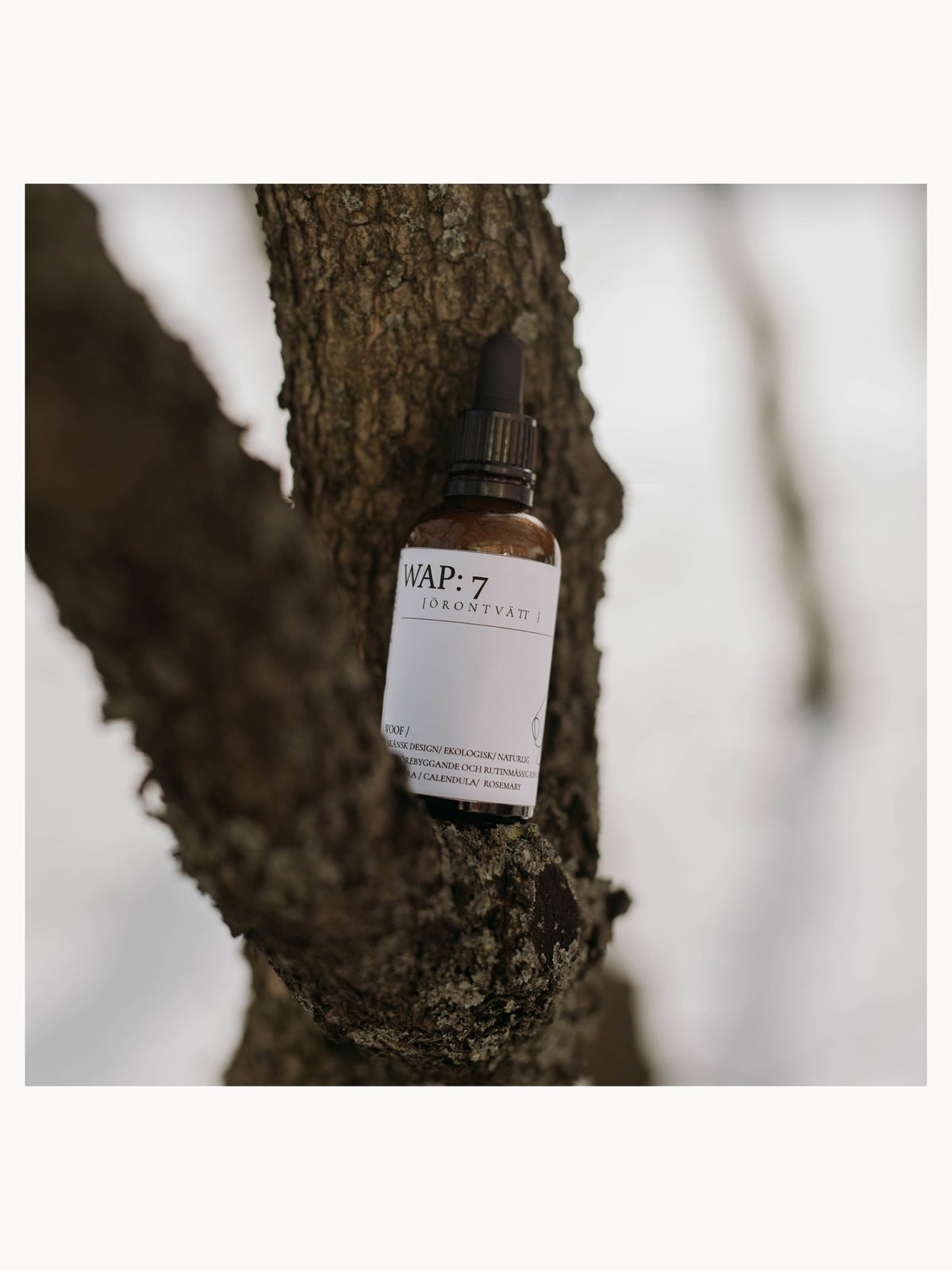 WAP: 7 Ear Wash (Various Sizes) - 30ml 3