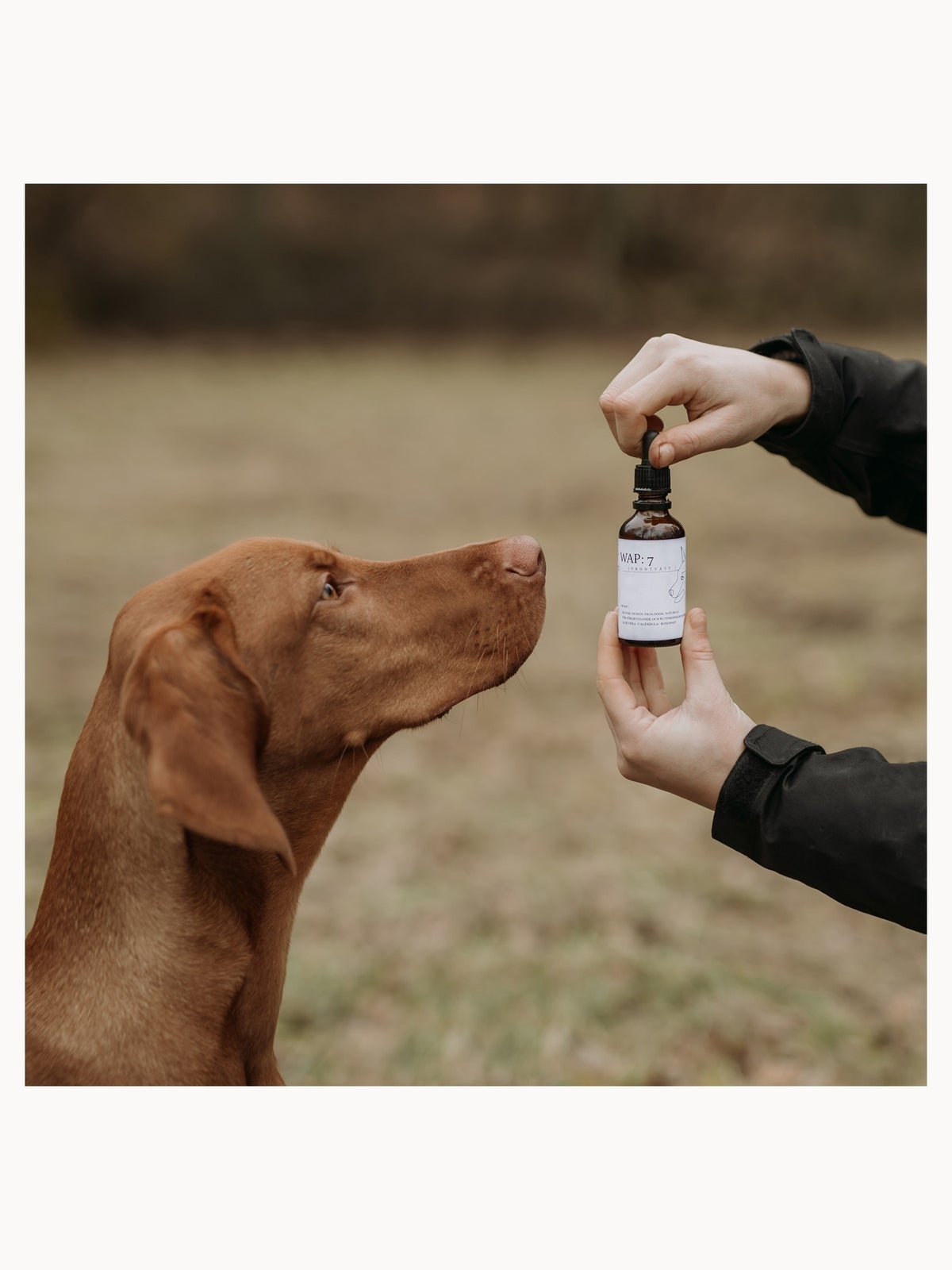 WAP: 7 Ear Wash (Various Sizes) - 30ml 2