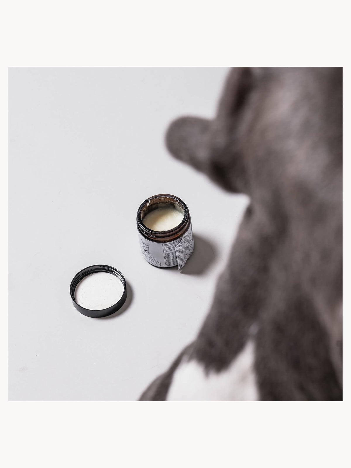 WAP: 2 Tick Ointment 60ml 4