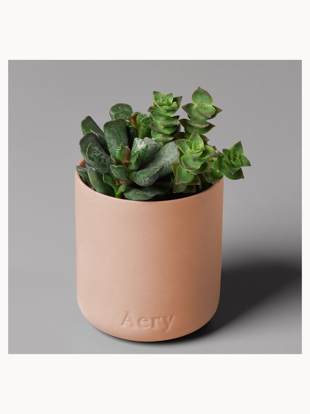 Aery Fernweh Candle - Aztec Tuberose 3