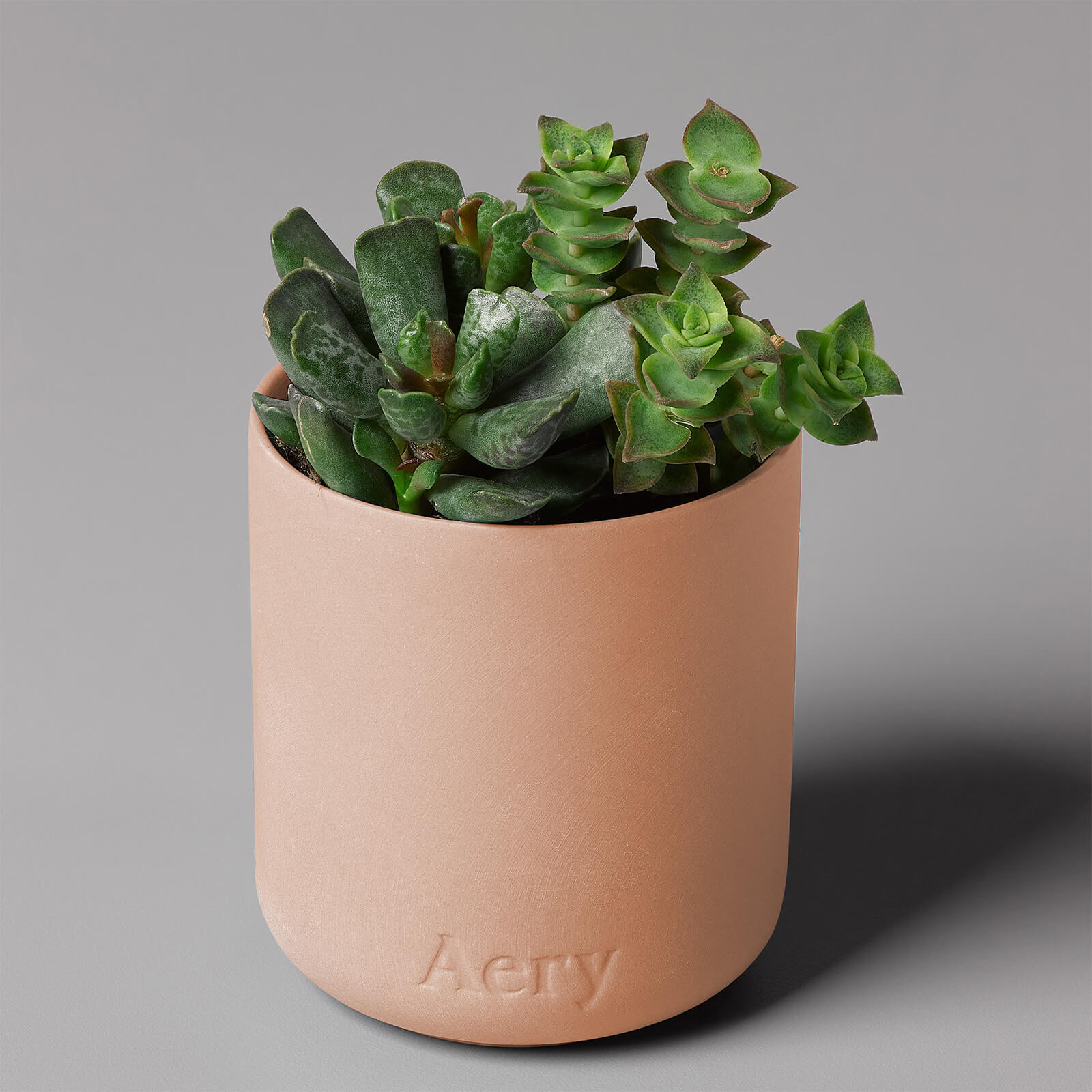 Aery Fernweh Candle - Aztec Tuberose 3