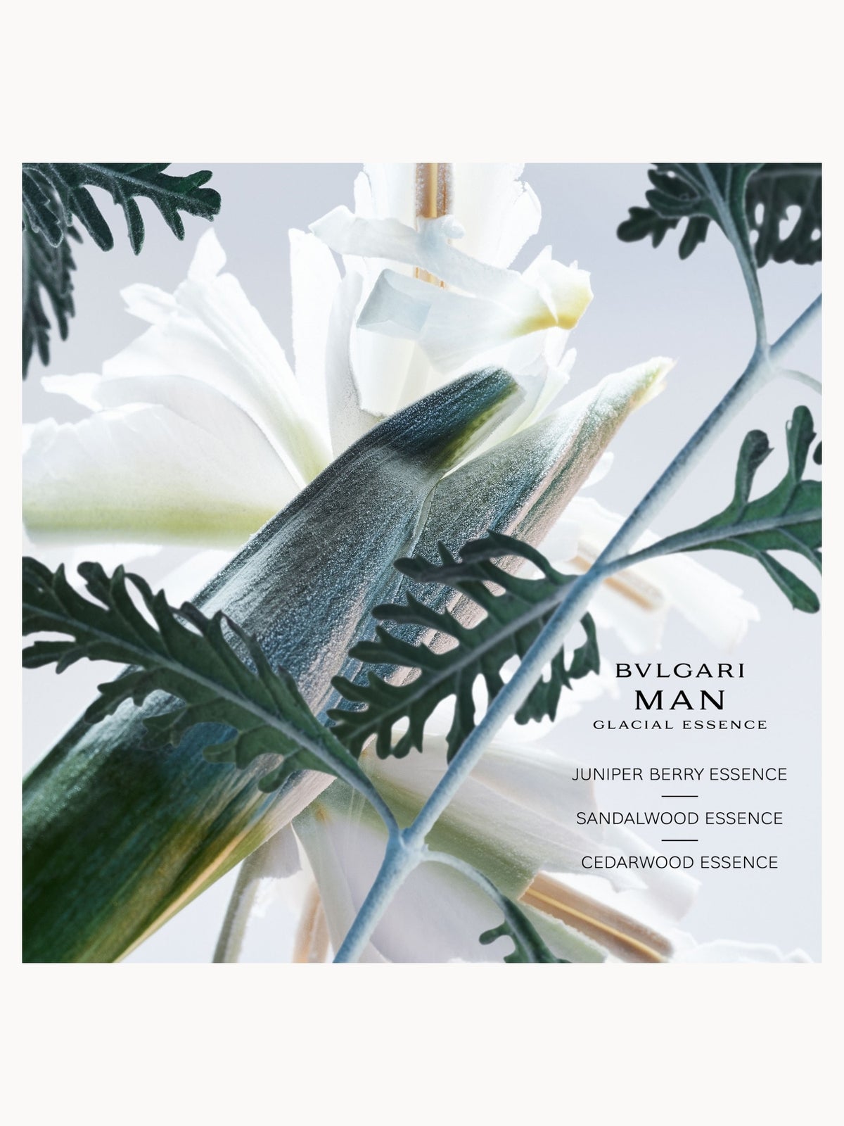 BVLGARI Man Glacial Essence Eau De Parfum 100ml, photo 2