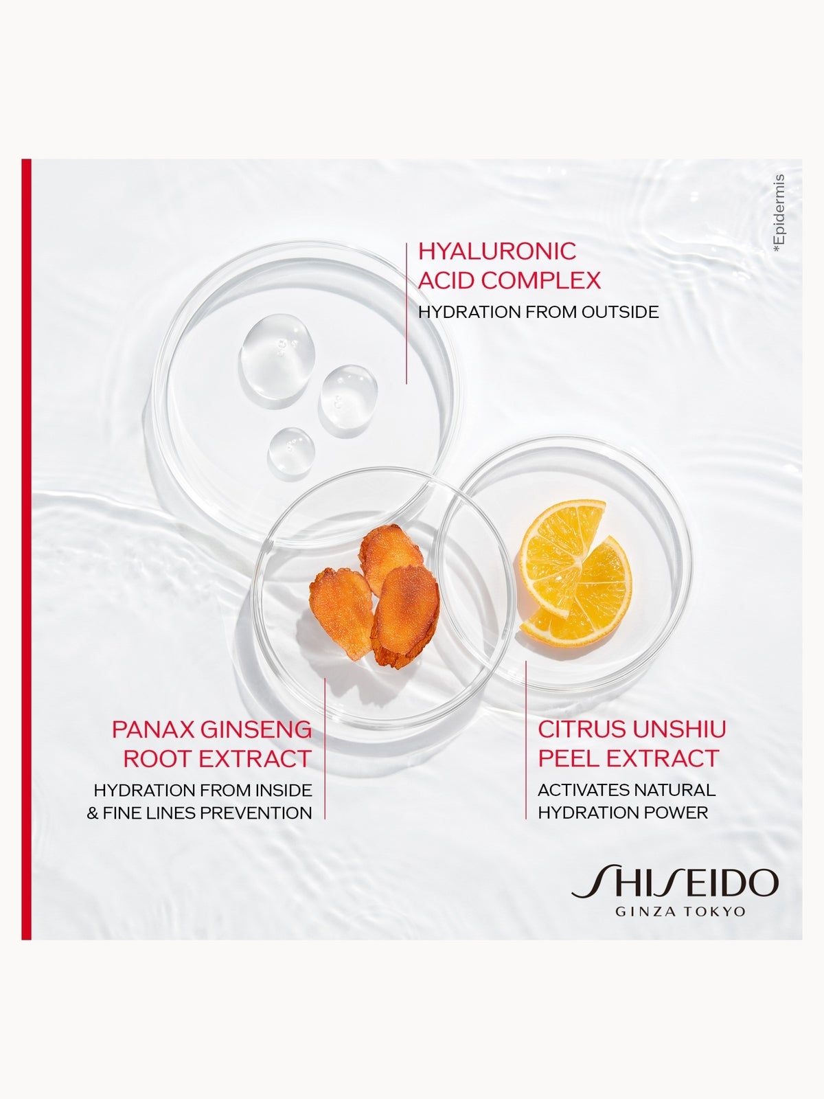 SHISEIDO Hydrating Face Cream: Essential Energy Moisturizer for 24-Hour Hydration & Radiant Skin, 50 ml, photo 4