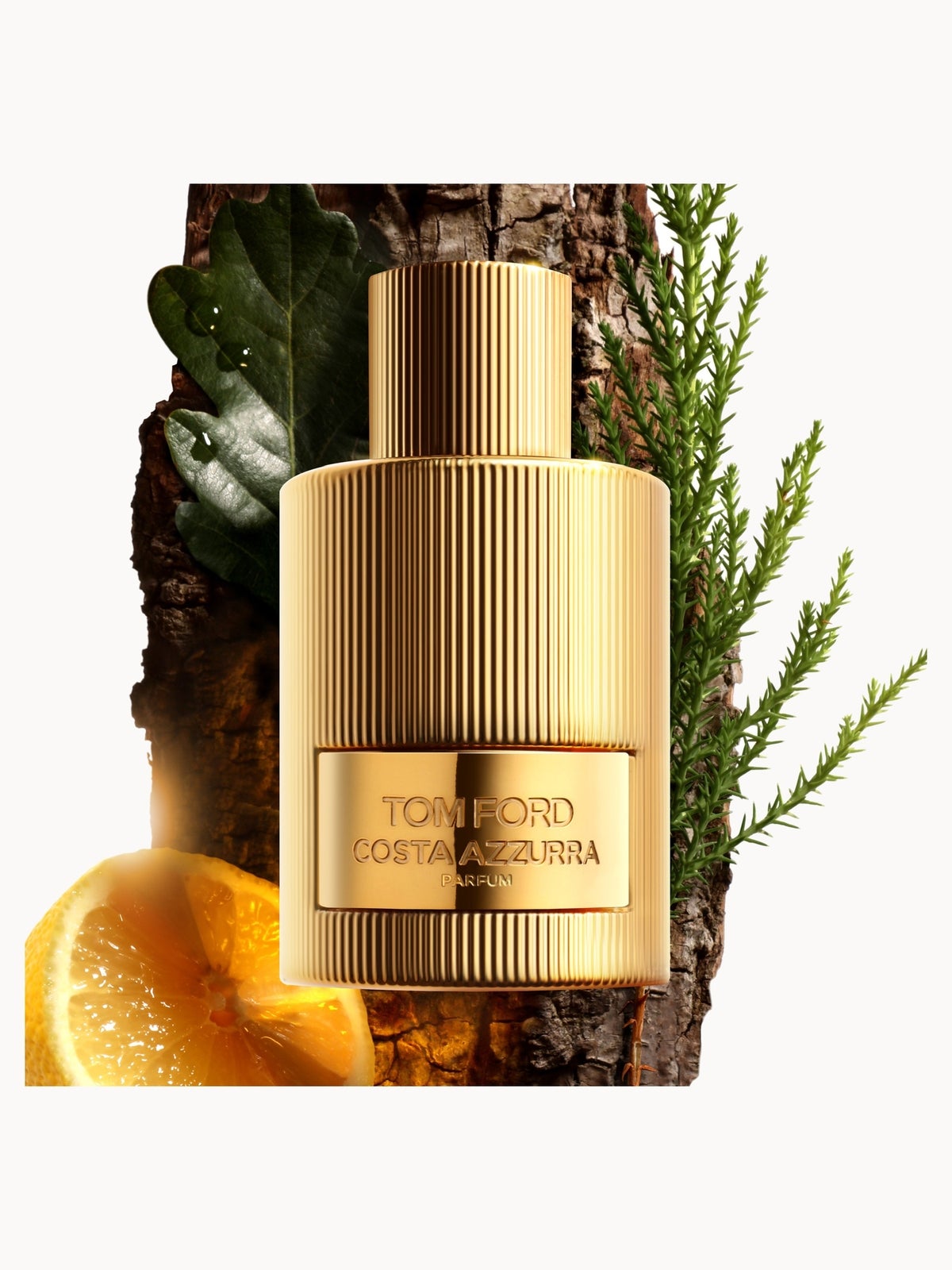 TOM FORD Costa Azzurra Parfum 100ml 2