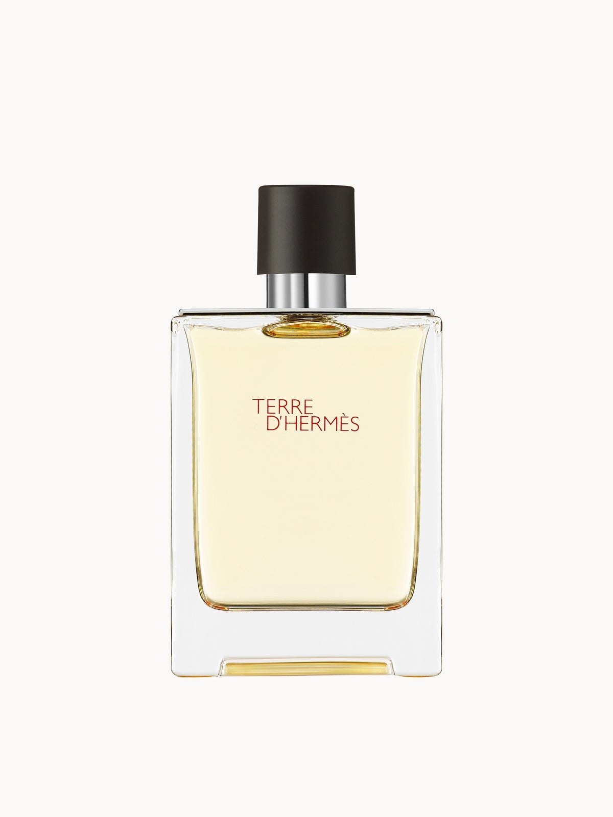 Hermès Terre d'Hermès Eau de Toilette 100ml