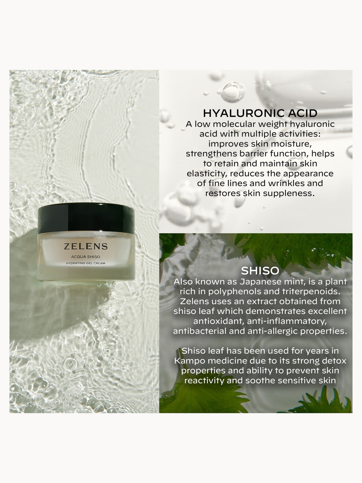 Zelens Acqua Shiso Hydrating Gel Cream 50ml 3
