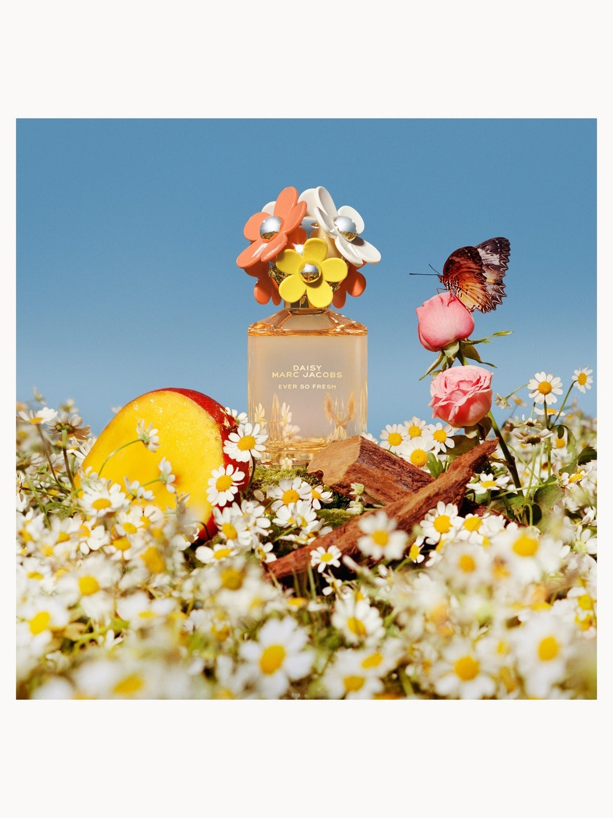 Marc Jacobs Daisy Ever So Fresh Eau de Parfum for Women 75ml, photo 3