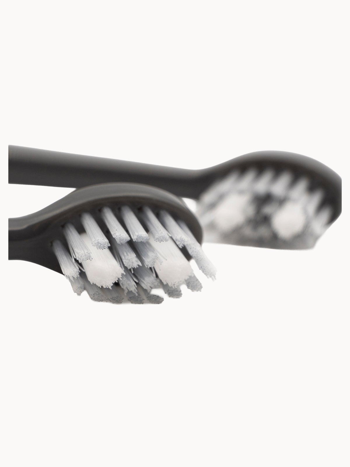 Spotlight Oral Care Sonic Head Replacements - Graphite Grey 4