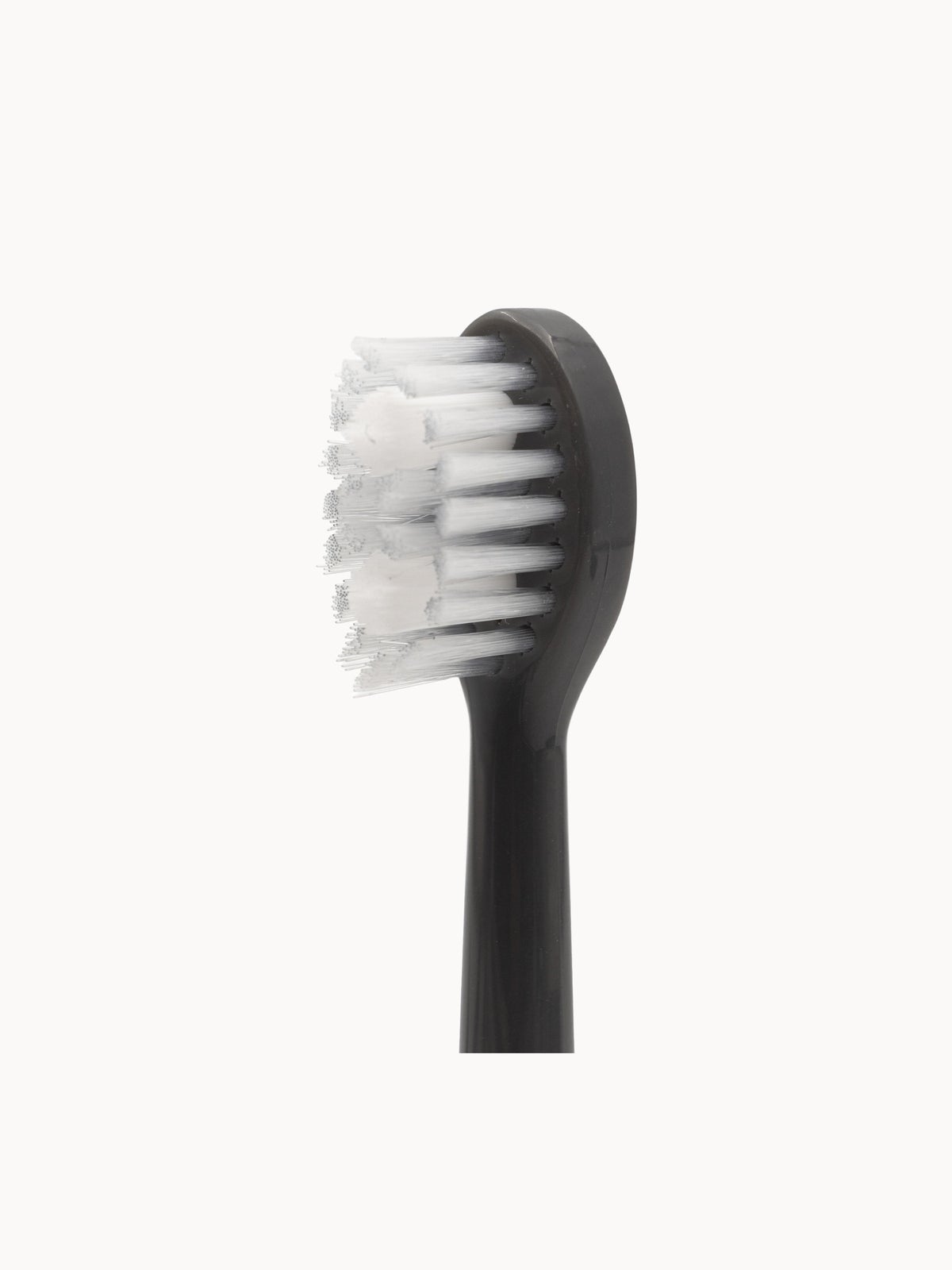 Spotlight Oral Care Sonic Head Replacements - Graphite Grey 3