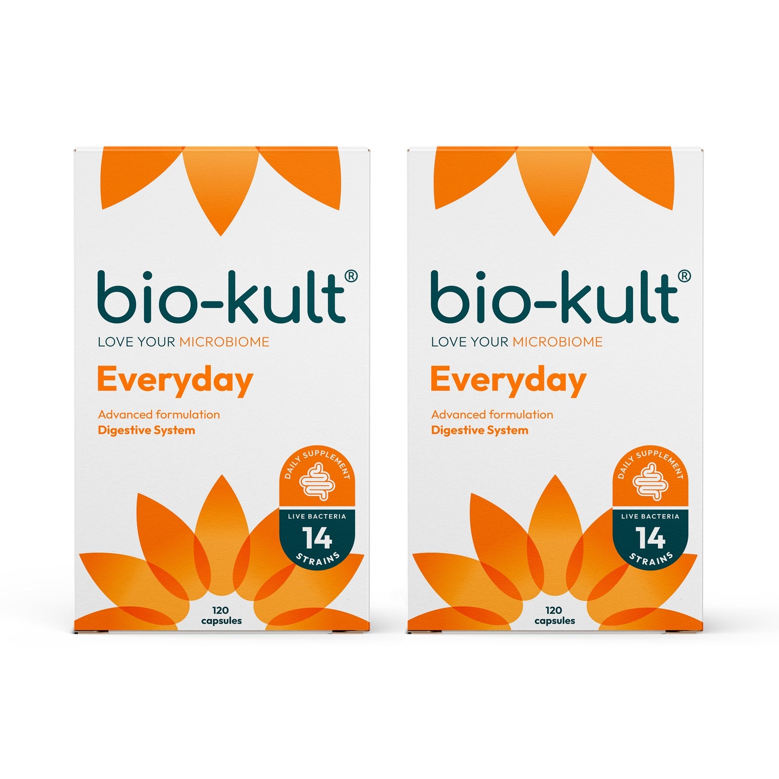 Bio-Kult Everyday Gut 120 Capsules 2 Pack