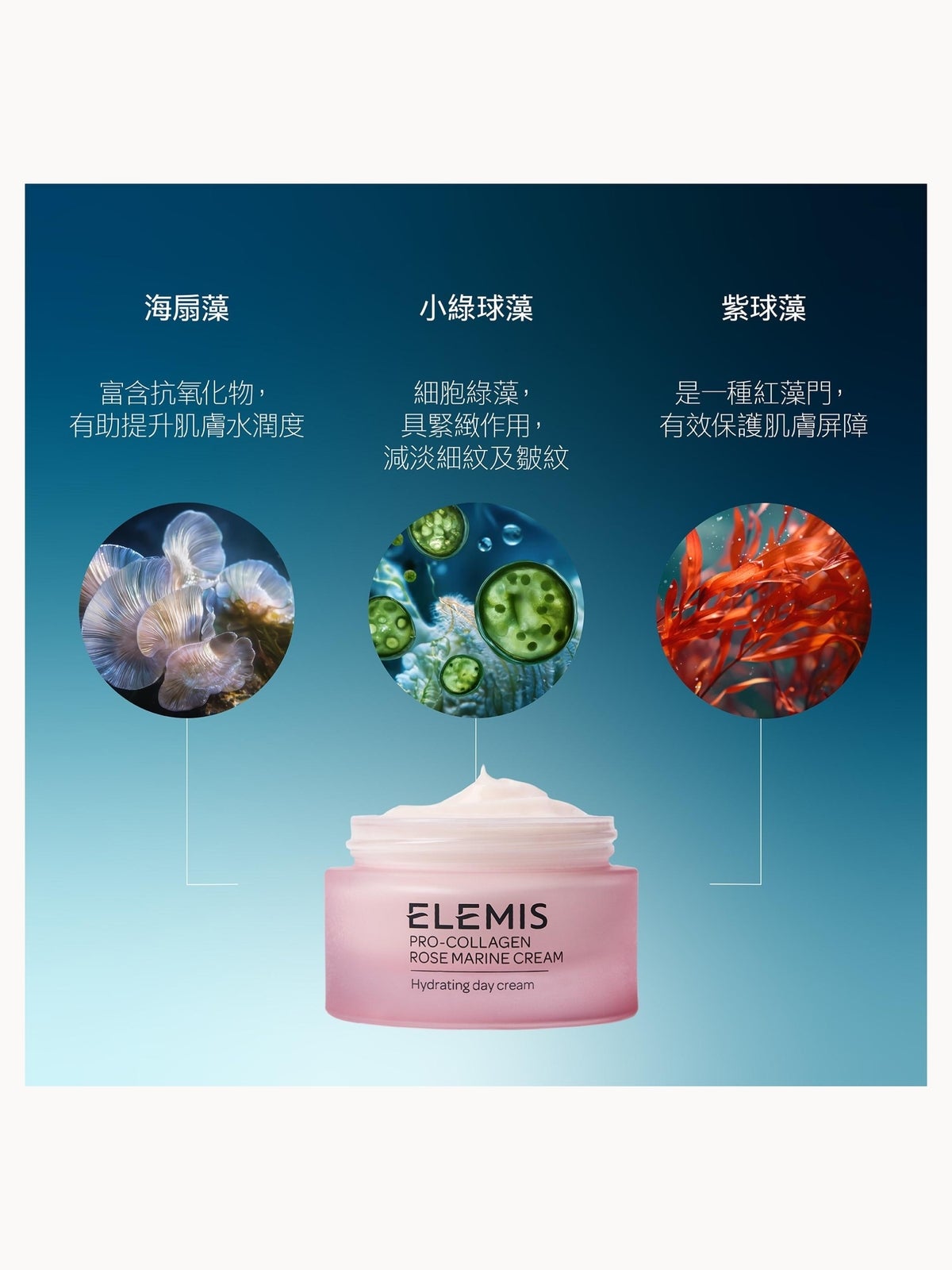 Elemis Pro-Collagen Rose Marine Cream 50ml 3