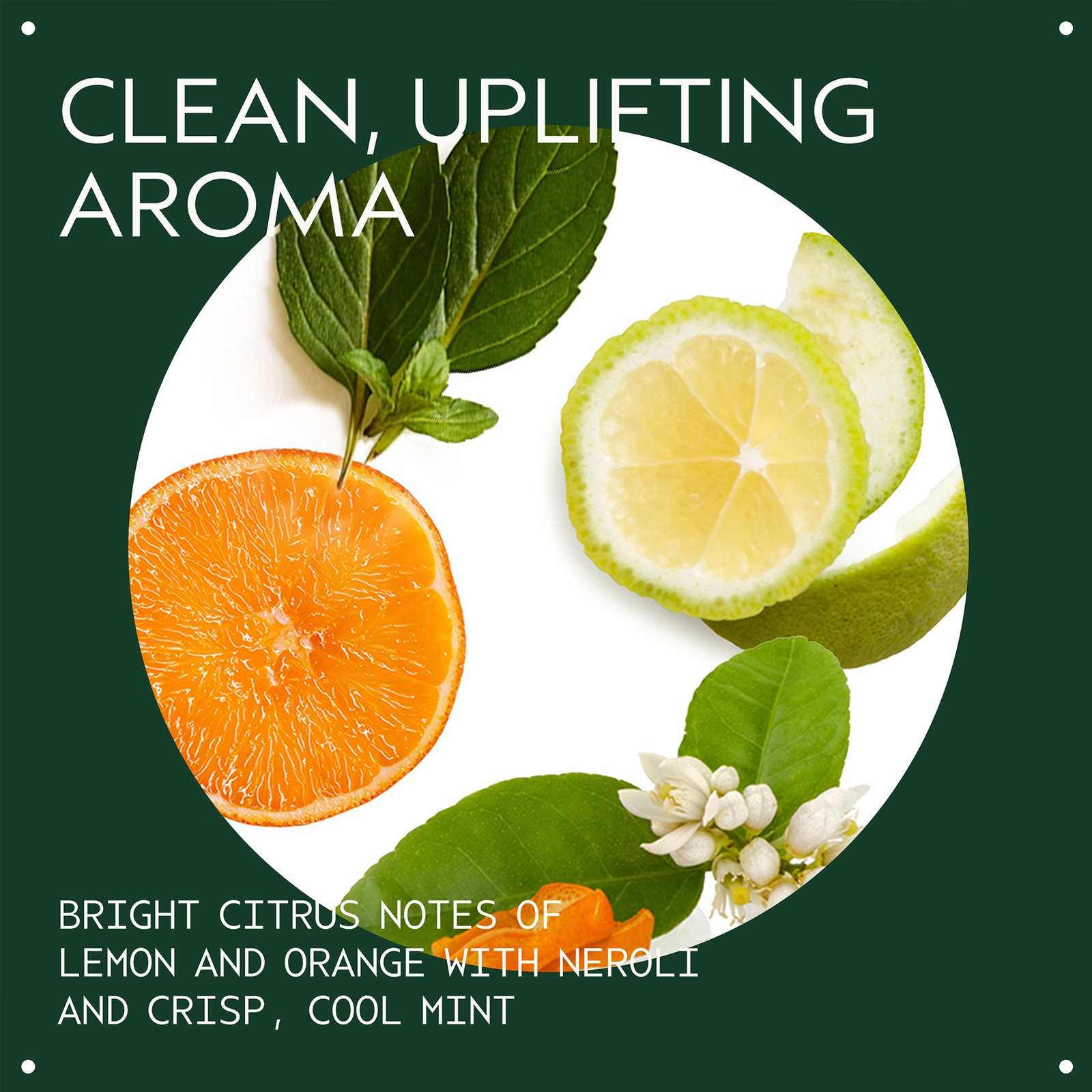 Thumbnail - Aveda Scalp Solutions Balancing Shampoo 200ml