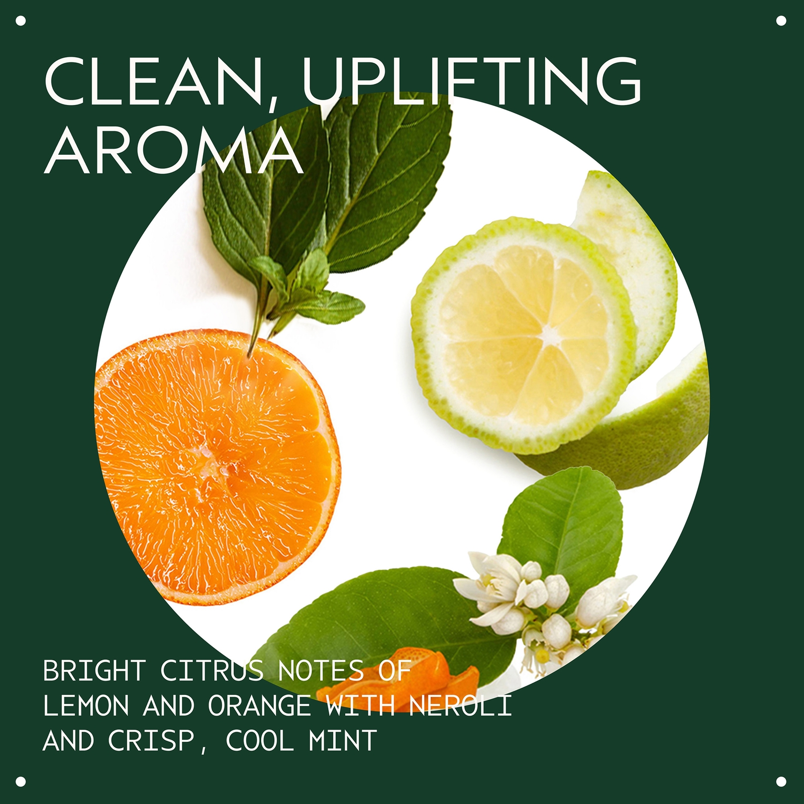 Thumbnail - Aveda Kopfhaut Solutions Regenerierende Spülung 200 ml