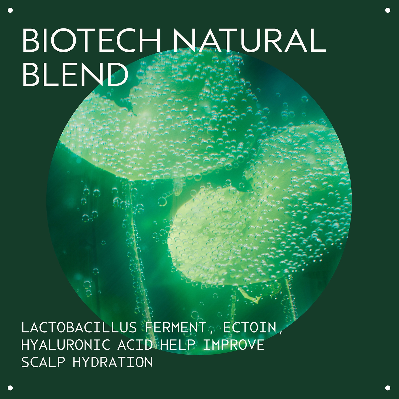 Thumbnail - Aveda Scalp Solutions Overnight Scalp Renewal Serum 50ml