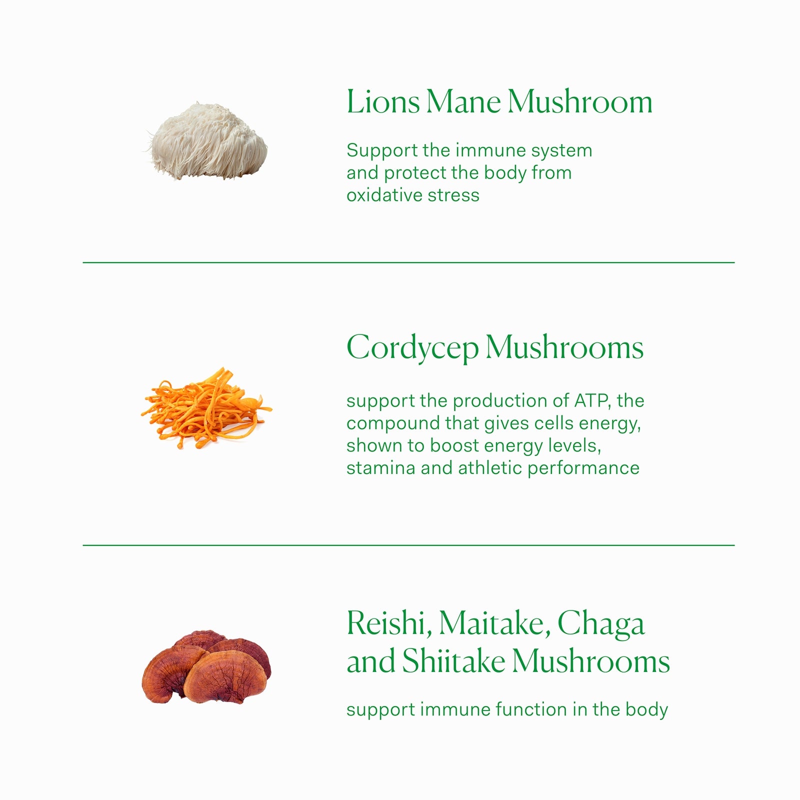 The Nue Co. Multi Mushroom Complex Supplement (60 Capsules) 2