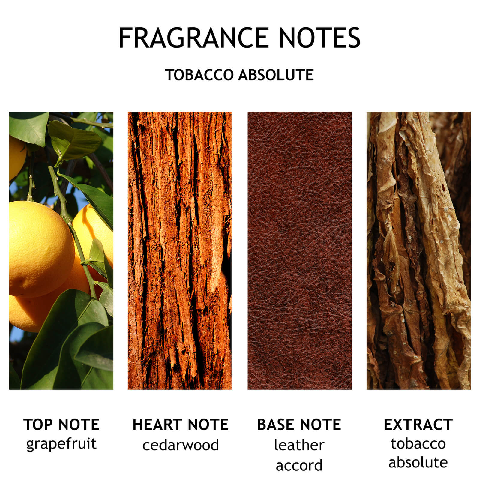 Thumbnail - Molton Brown Tobacco Absolute Bath and Shower Gel 300ml