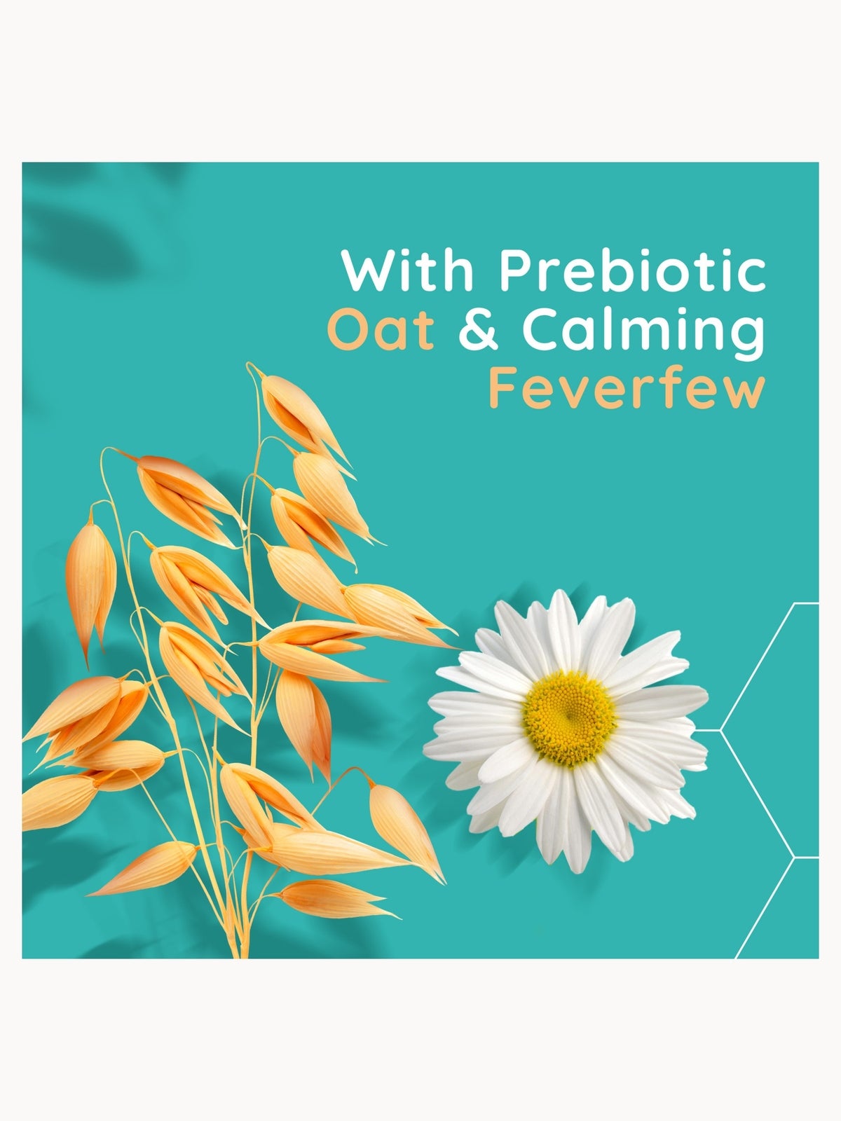 Aveeno Face Calm and Restore Oat Gel Moisturiser 50ml 4