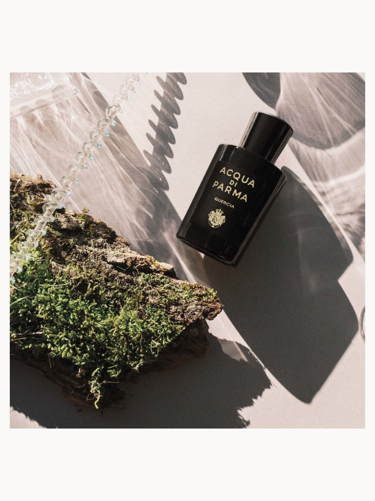 Acqua Di Parma Signatures of the Sun Quercia Eau de Parfum 100ml, photo 3
