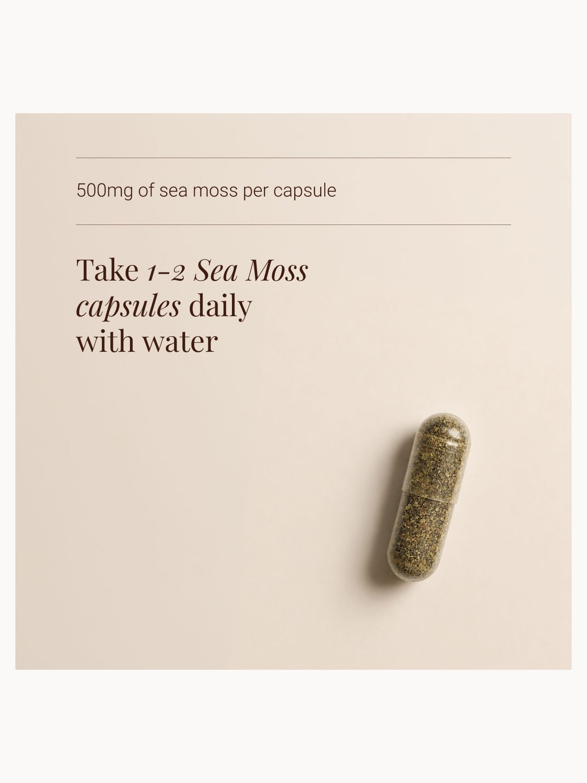 KIKI Health Organic Irish Sea Moss 90 Vegicaps, photo 3