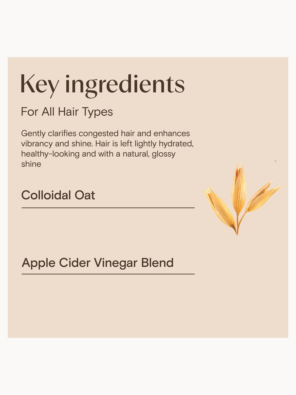 Aveeno Haircare Clarify and Shine+ Apple Cider Vinegar Shampoo 300ml 4