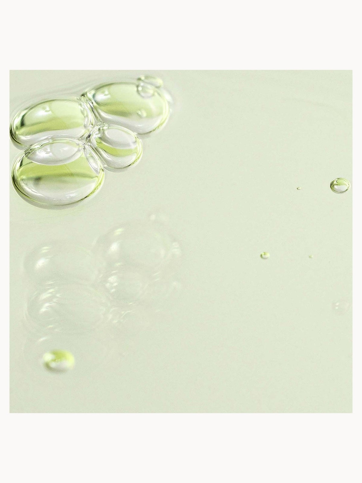 Beauty of Joseon Calming Serum Green Tea + Panthenol 30ml 2
