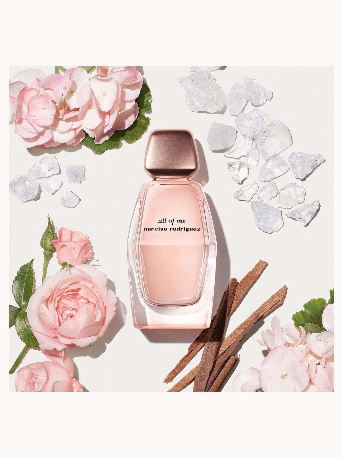 Narciso Rodriguez All of Me Eau de Parfum 50ml, photo 2