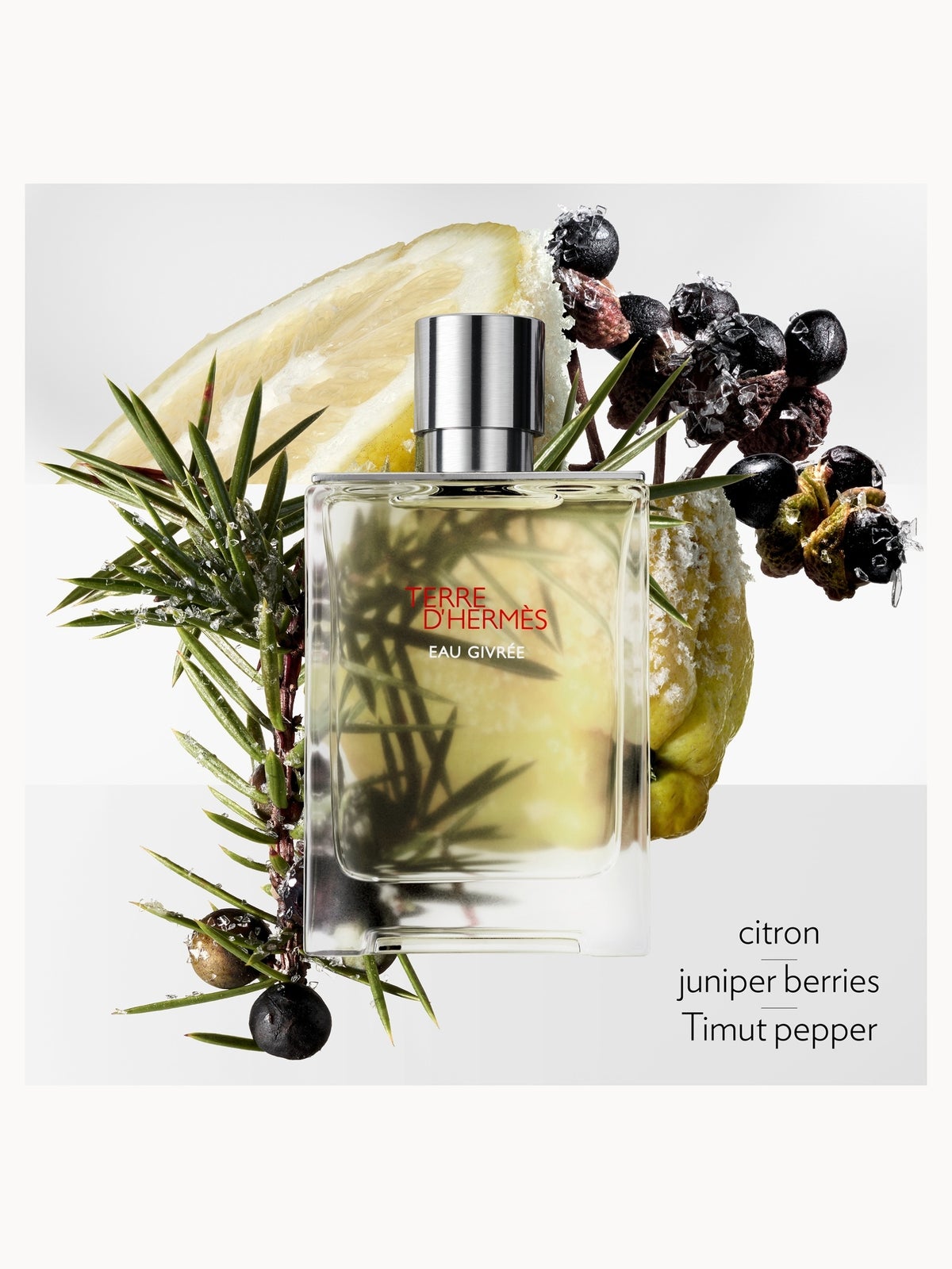 Hermès Terre d’Hermès Eau Givrée Eau de Parfum 175ml 4