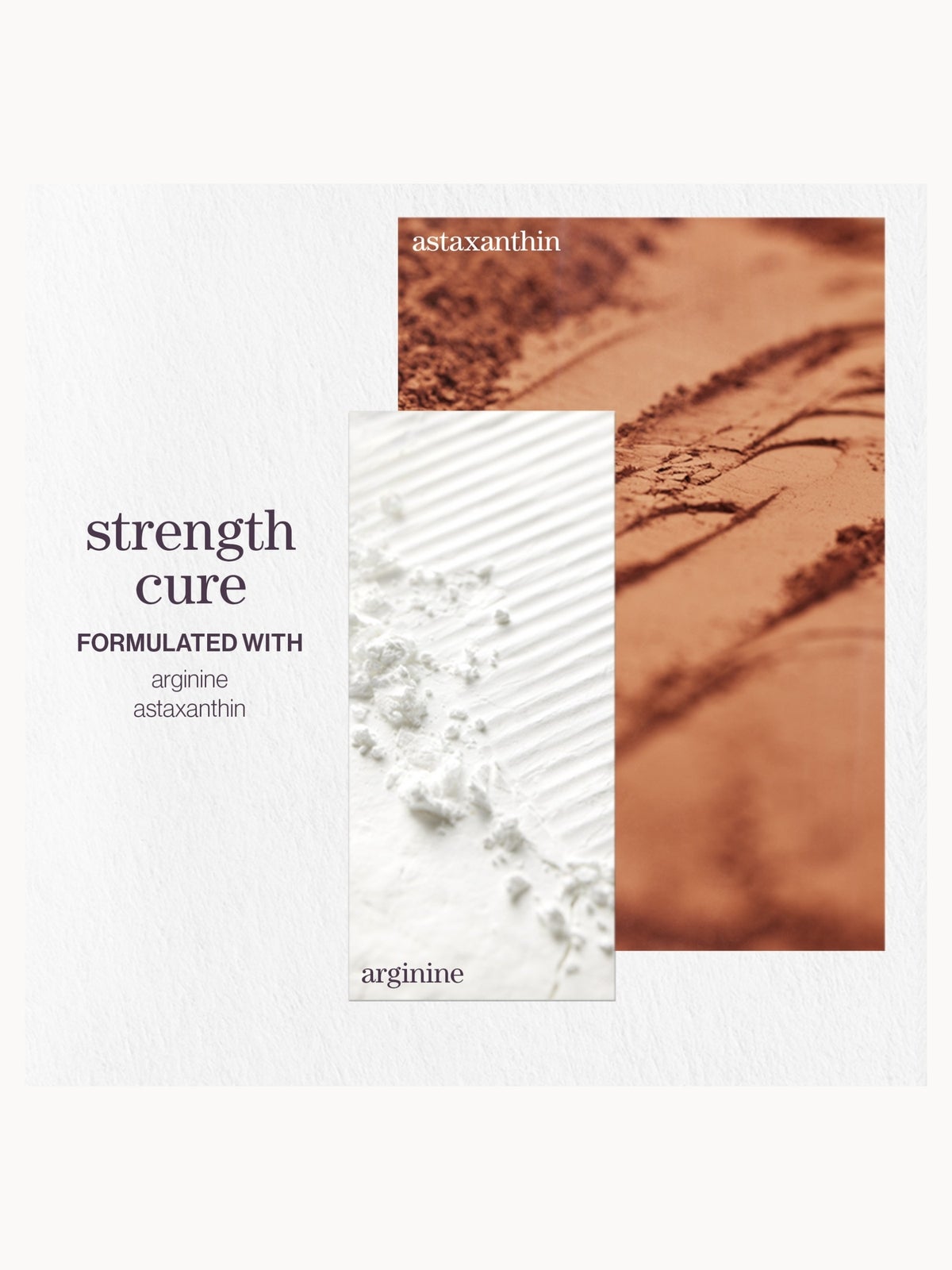 Pureology Strength Cure Shampoo, Conditioner and Color Fanatic Spray Routine for Damaged Hair 4