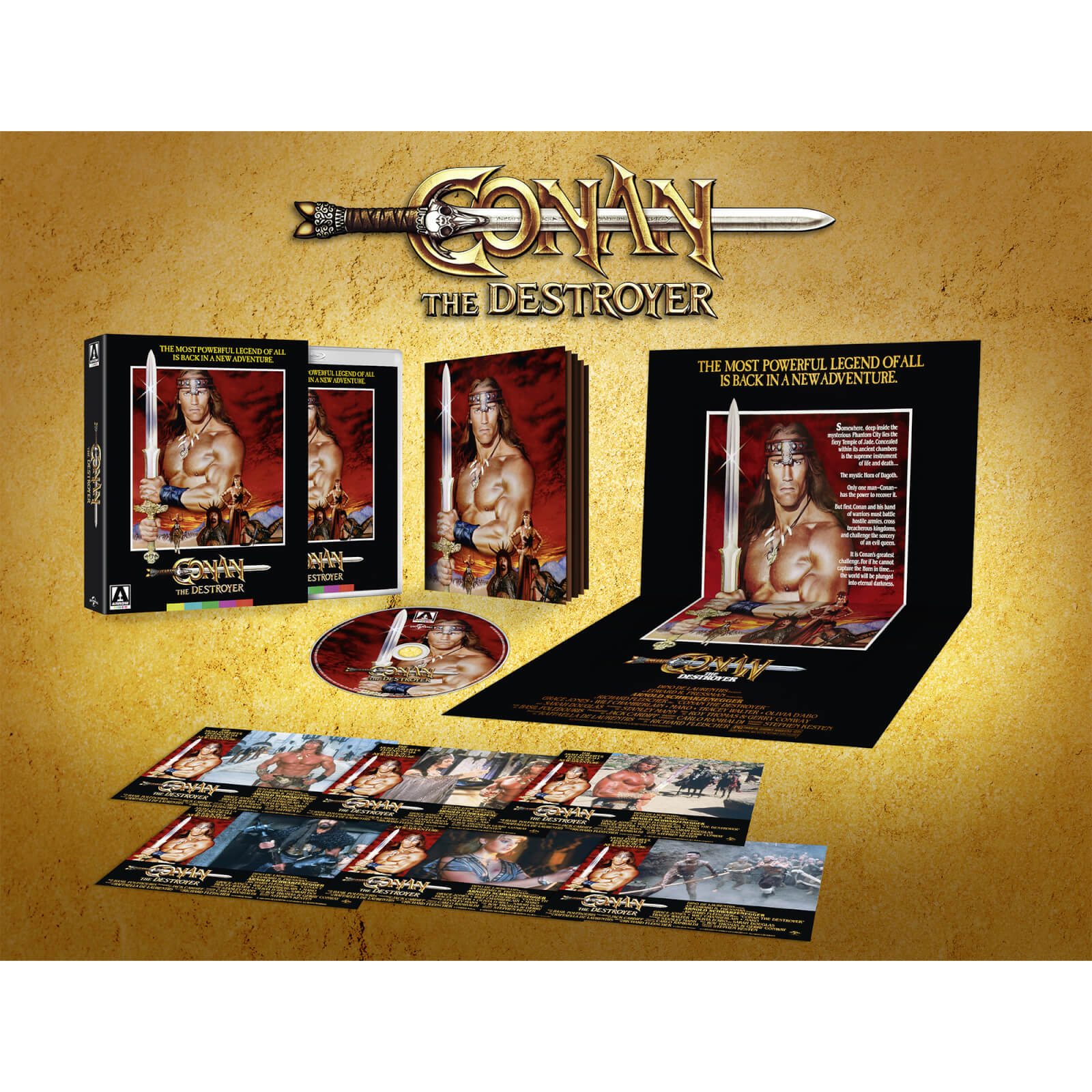 Conan The Destroyer Limited Edition