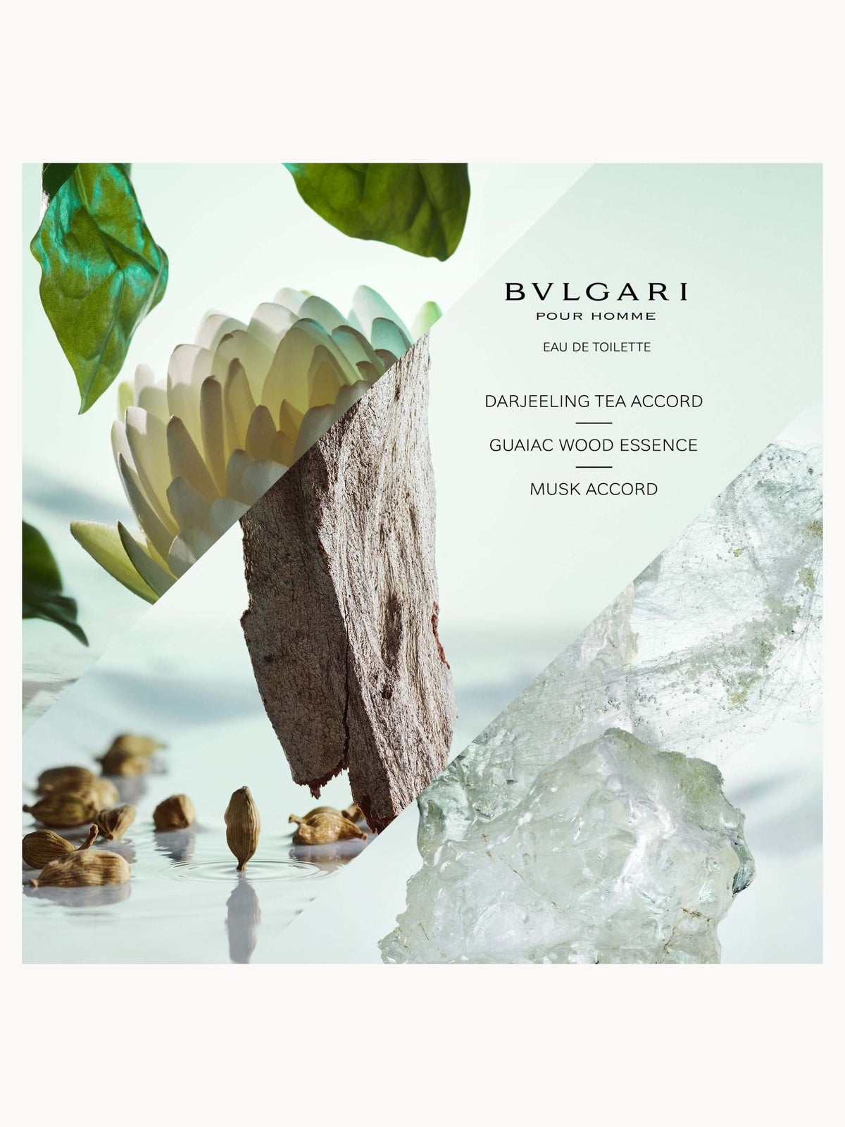 BVLGARI Pour Homme Eau de Toilette 100ml, photo 4