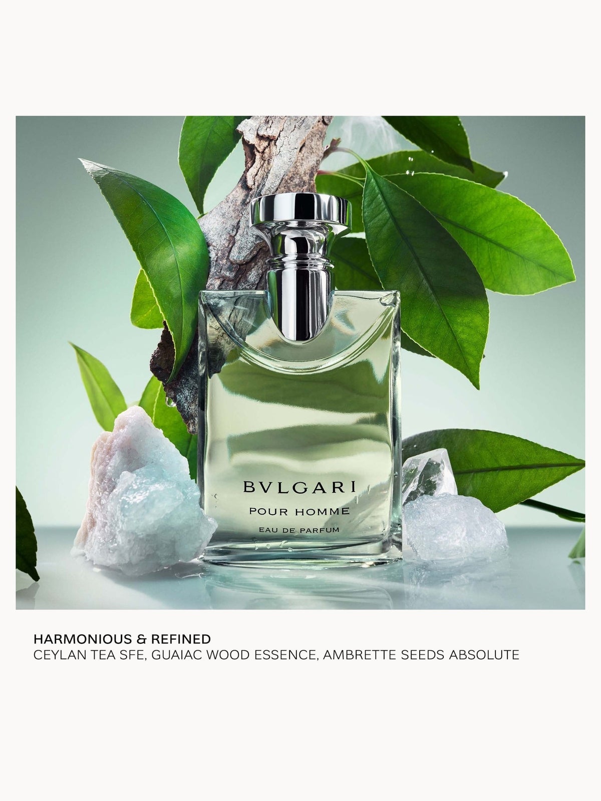 BVLGARI Pour Homme Eau de Parfum 100ml, photo 4