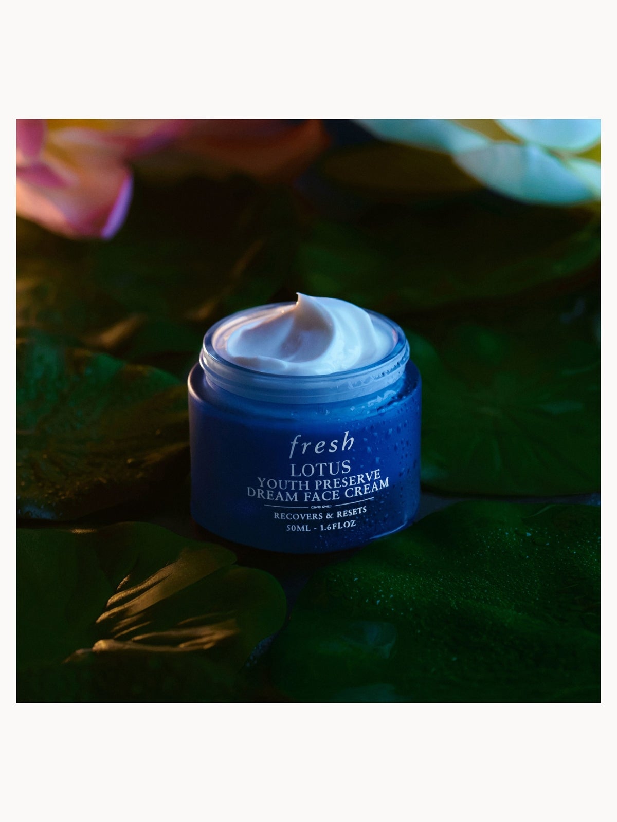 Fresh Lotus Youth Preserve Dream Face Cream 15ml 3