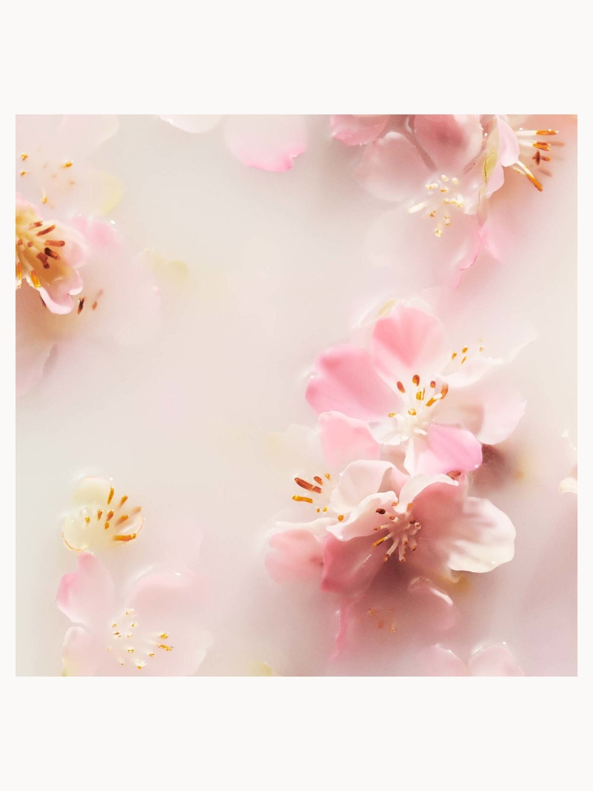 RITUALS The Ritual of Sakura Cherry Blossom & Rice Milk Foaming Body Wash 200ml, photo 2