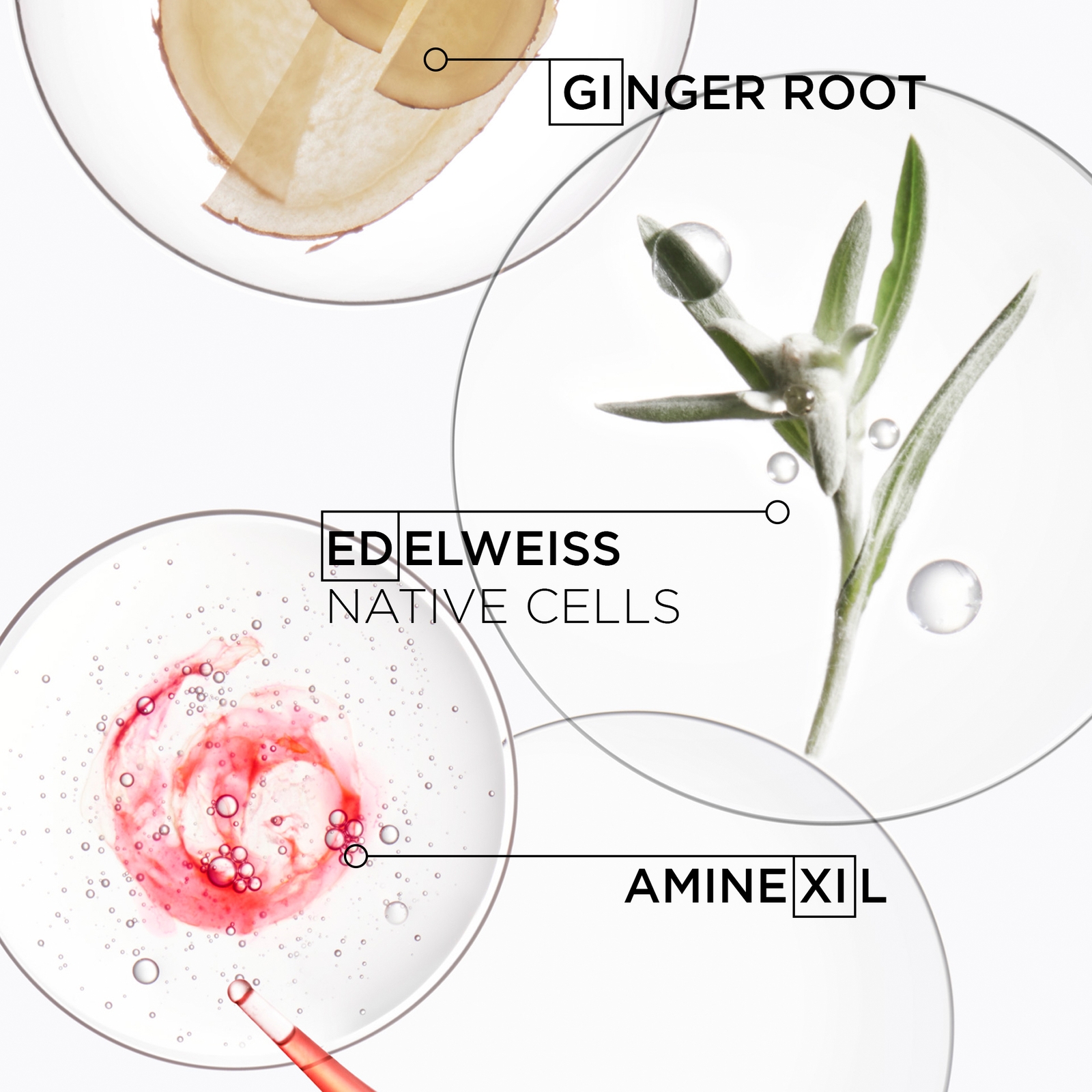 Thumbnail - Kérastase Genesis Discovery Set for Hair Fall Due to Breakage