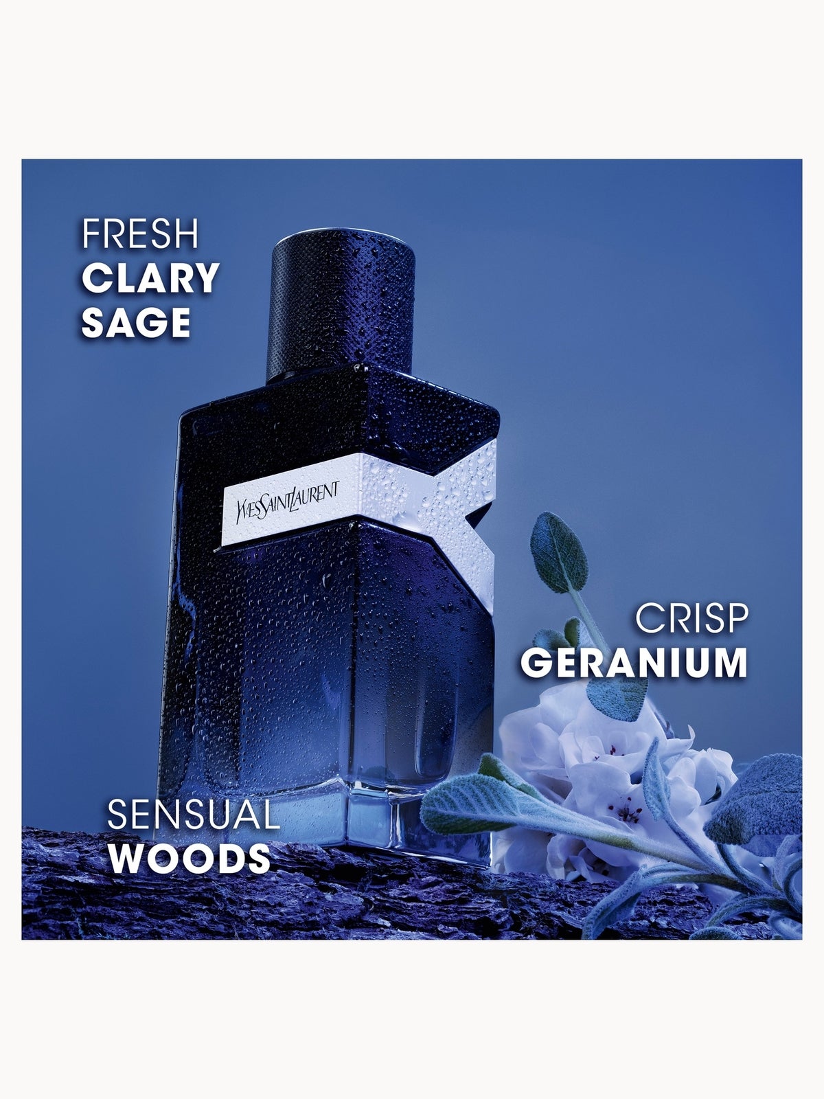 Yves Saint Laurent Y Eau de Parfum Refill 150ml (Worth £172.50) 3