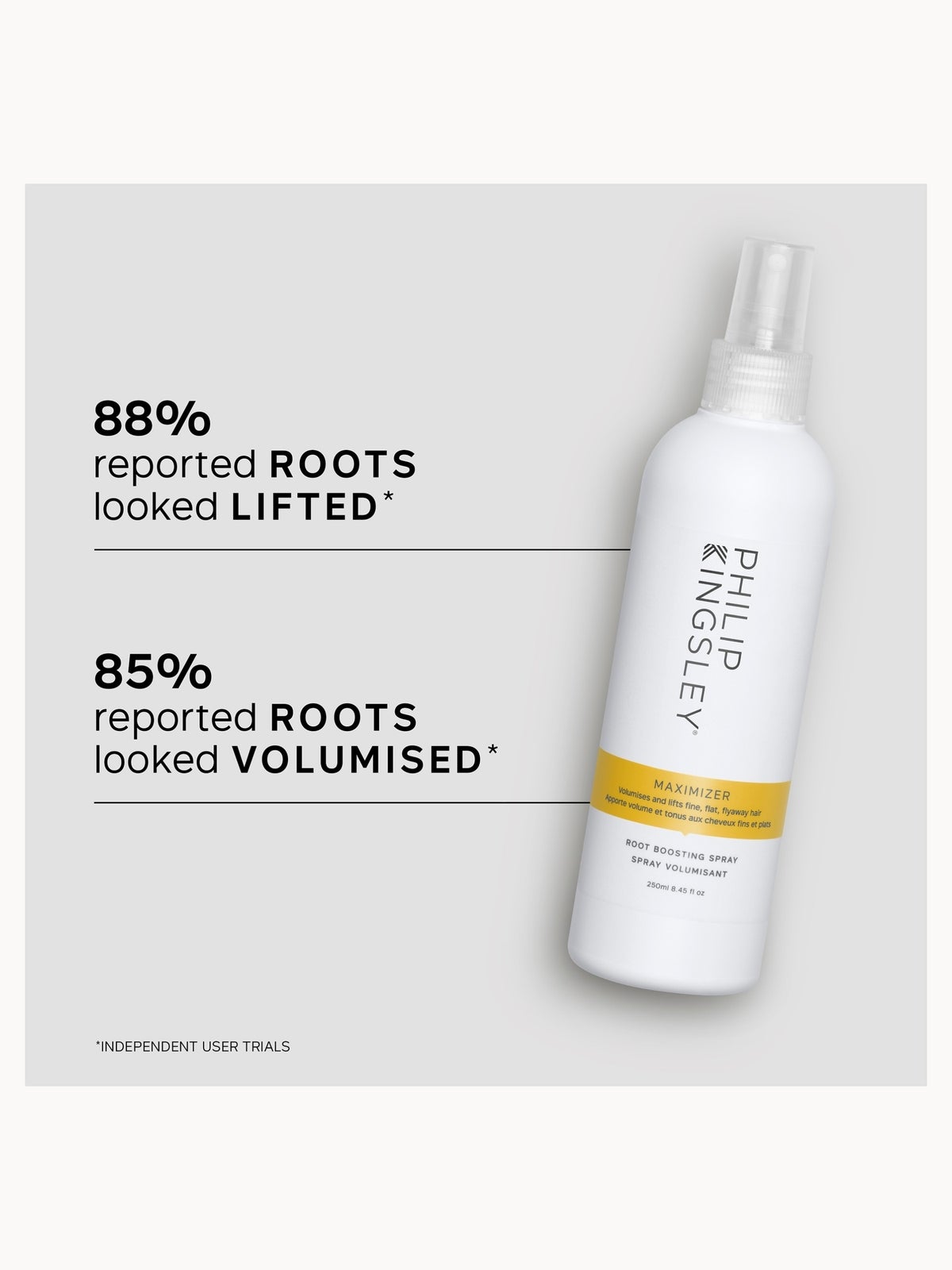 Philip Kingsley Styling Maximizer Root Boosting Spray 250ml 2