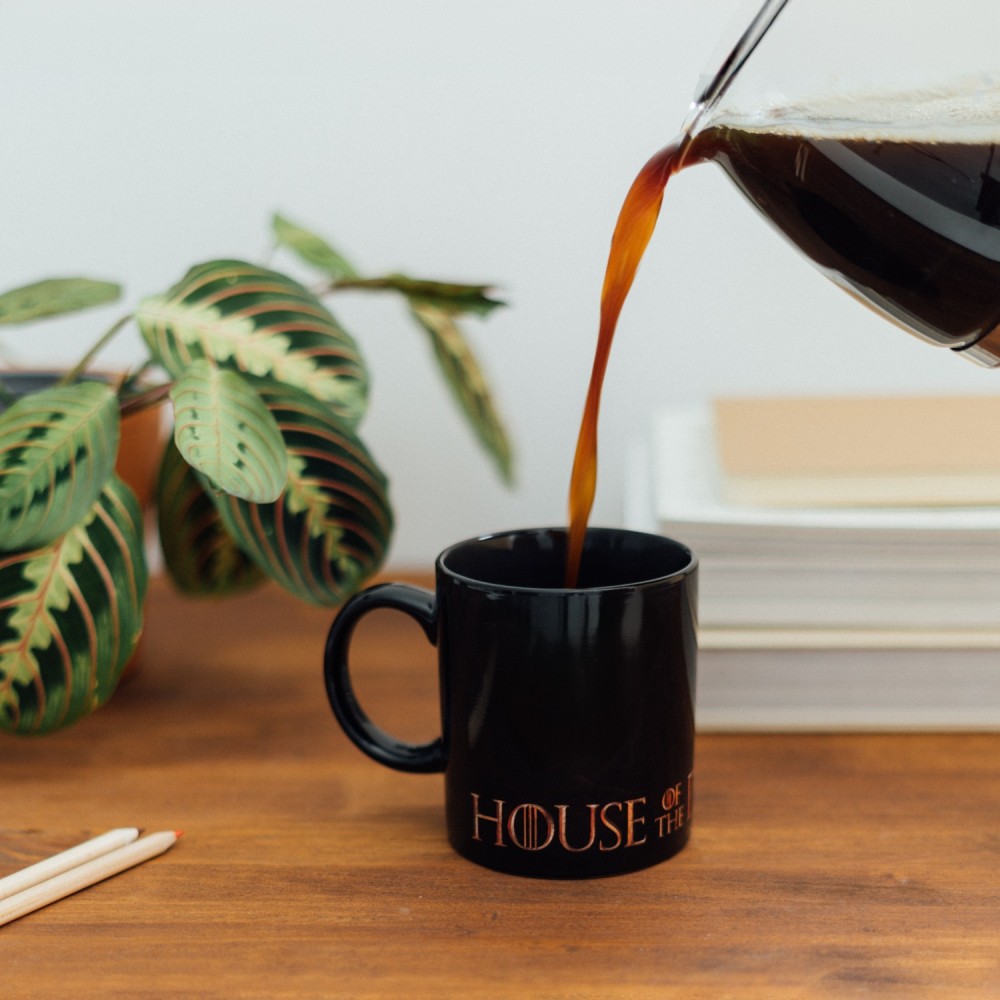 Game Of Thrones The House Of The Dragon Heat Changing Mug Game Of Thrones The House Of The Dragon Heat Changing Mug