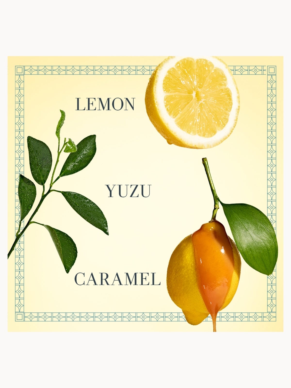 Fresh Sugar Lemon Eau de Parfum 9ml 2