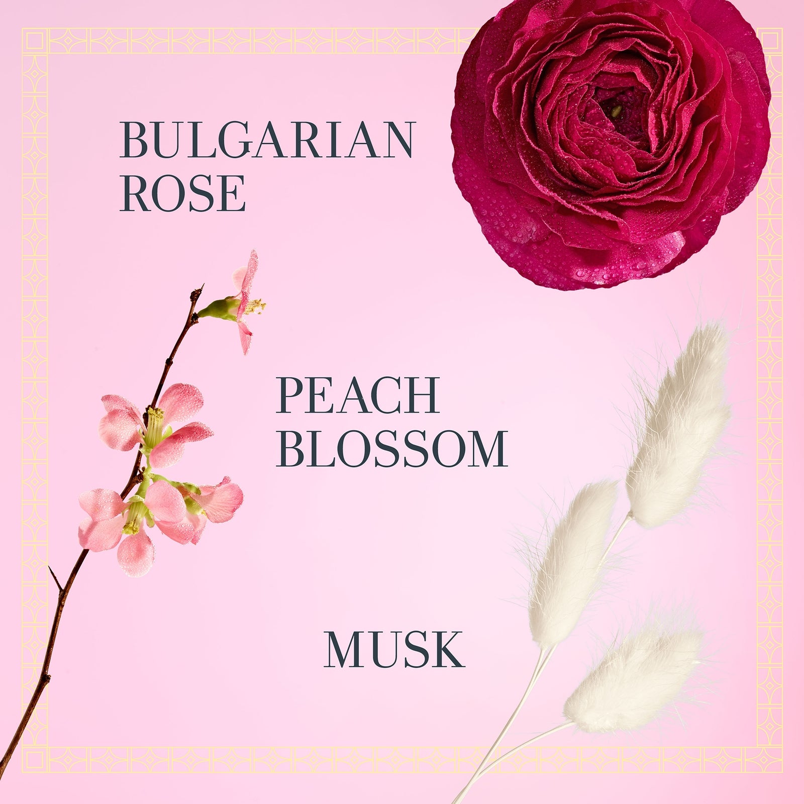 Fresh Rose Morning Eau de Parfum 9ml 2